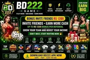 BD222 Game